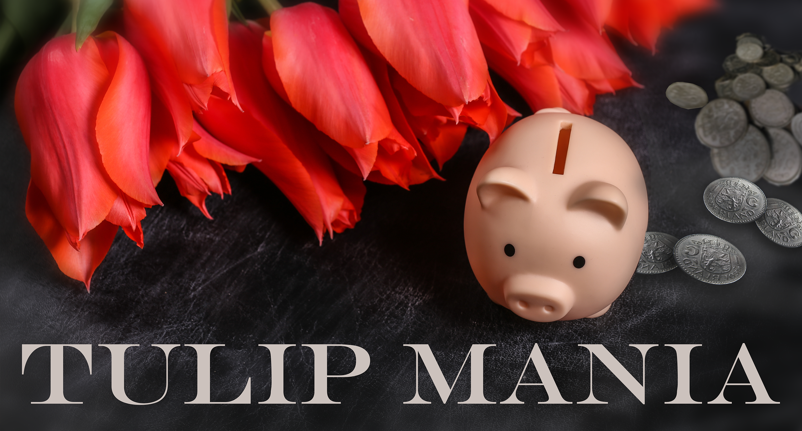 Tulip Mania | February 24th 
